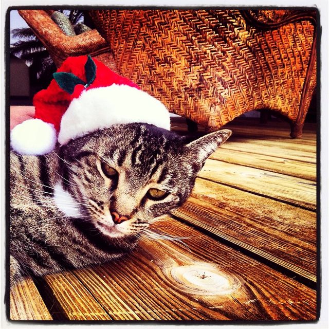 Ho Ho Ho 