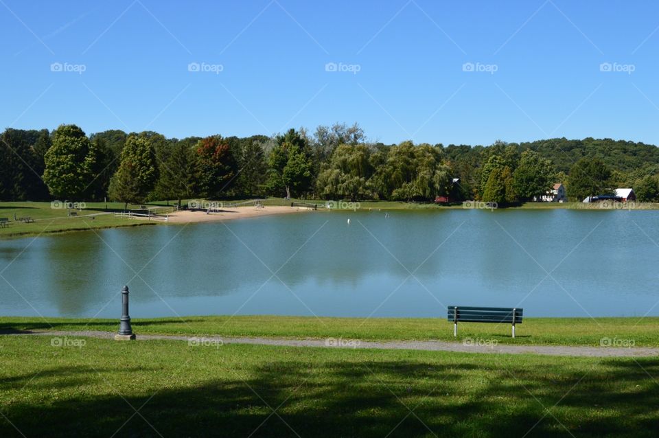 Small beach, pond , wooded area