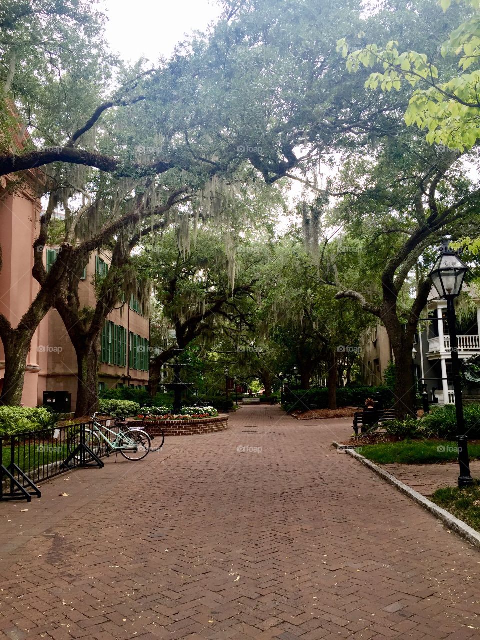 College of Charleston 