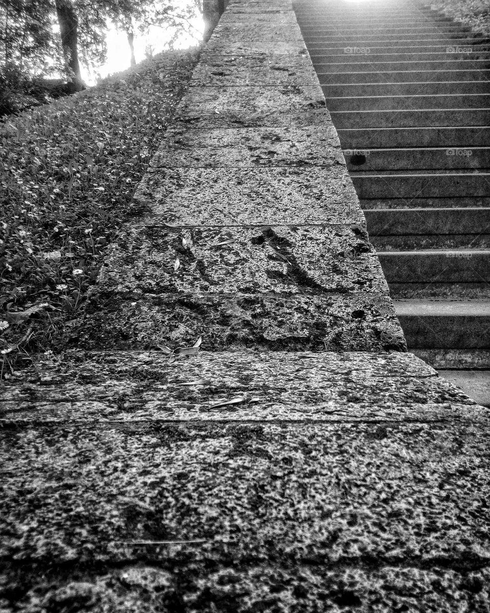 "The most colorful thing in the world is black and white, it contains all colors and at the same time excludes all."
~ Vikrmn, 10 Alone