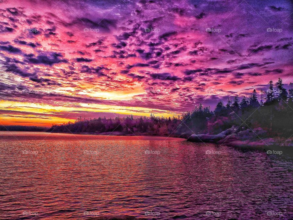 Purple sunrise overlooking the lake