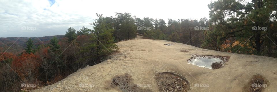 Landscape, No Person, Tree, Nature, Travel