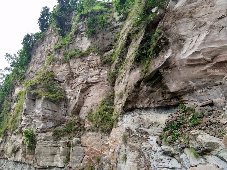 Mountain with Forest