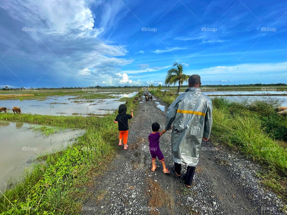 Farmer walking with his grandchildrens in the paddy field.