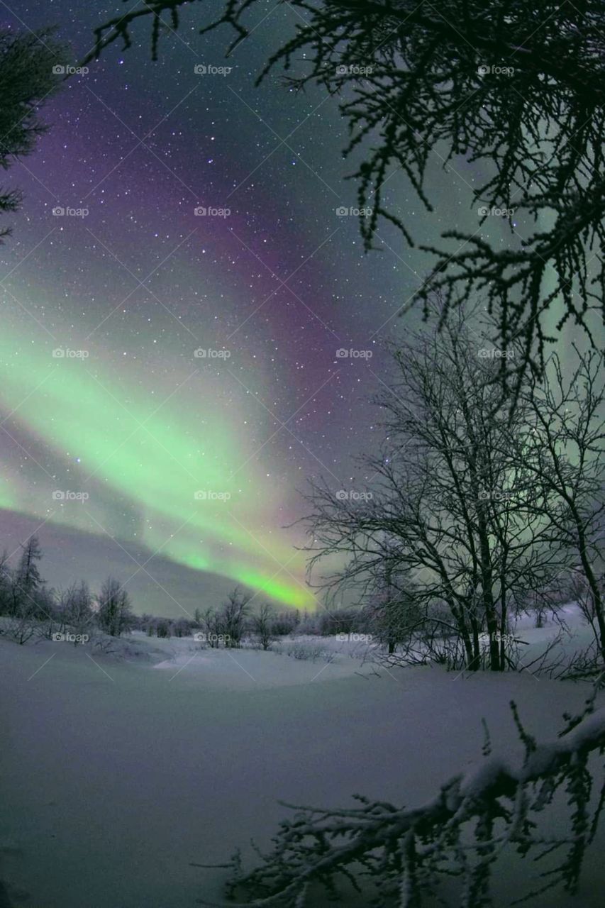 Winter, evening sunset, north, snow, frosty, tundra, ice, winter photo, photo, silence, Arctic, beauty, January, February, sun, walk,avrora, avrora foto