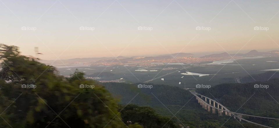 forest in the mountains