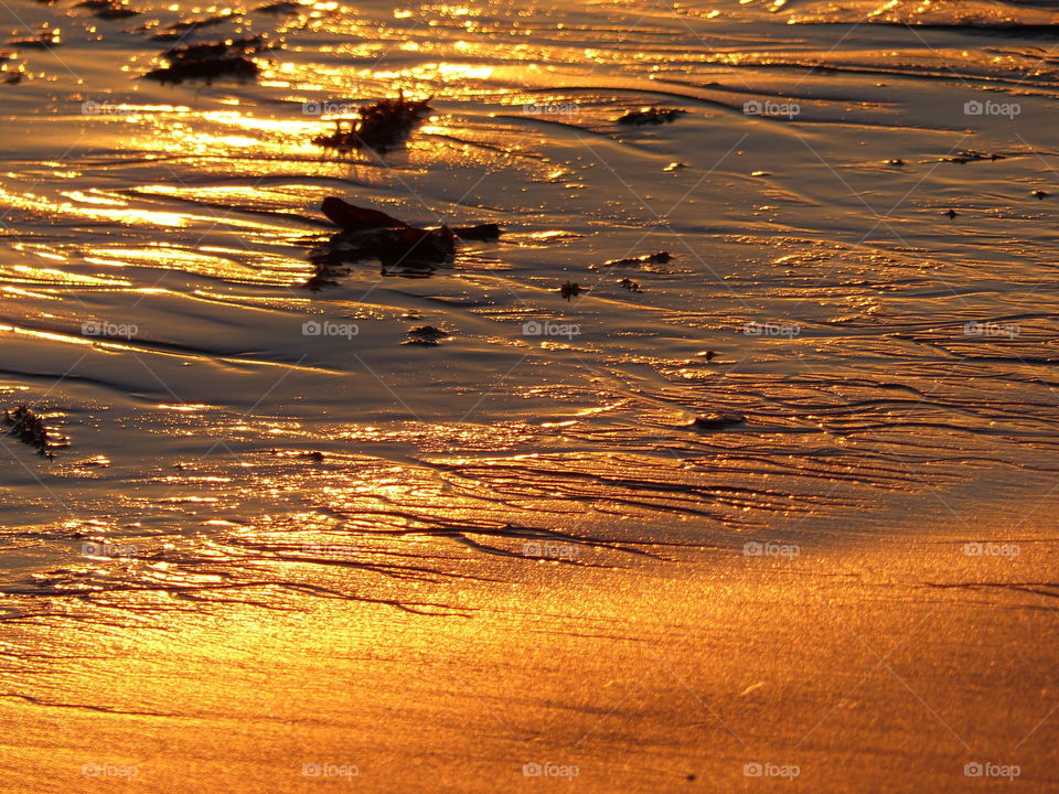 View of a beach during sunset