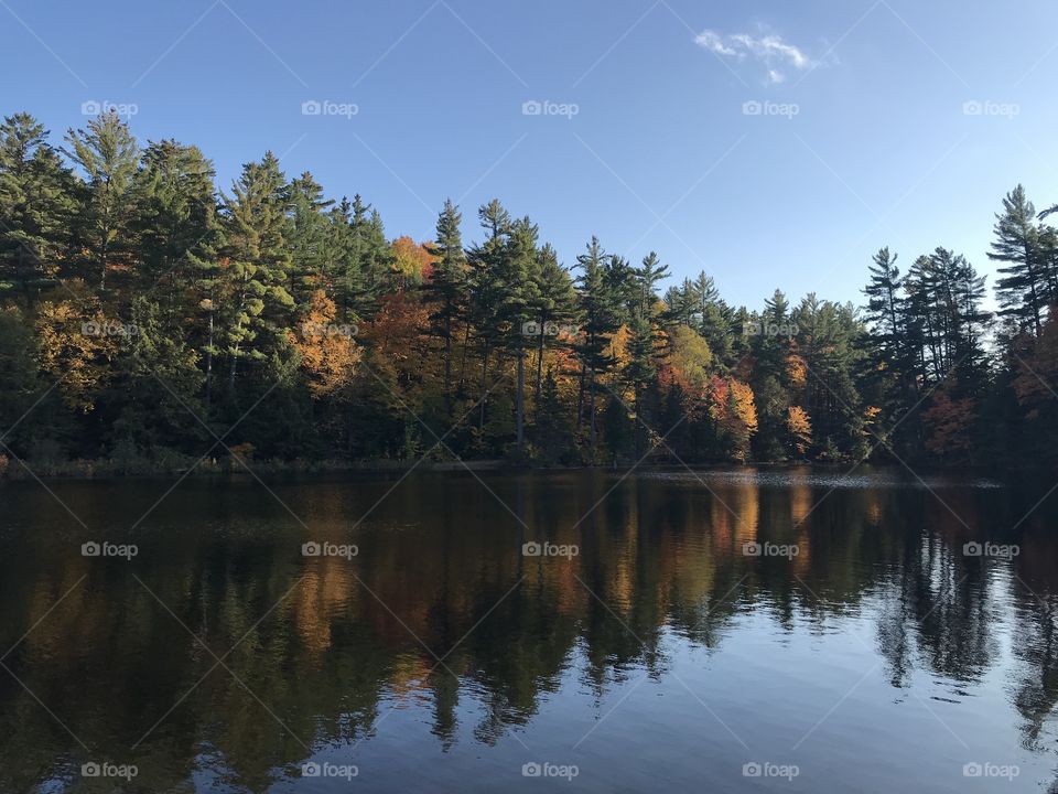 Beautiful reflection of Fall trees on the water