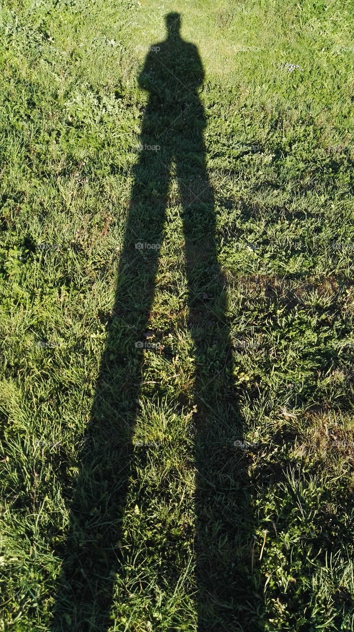 the shadow of a person on the grass during the sunset