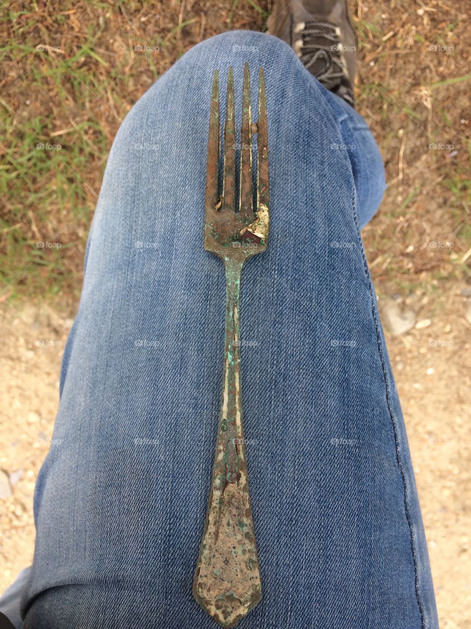 Fork 