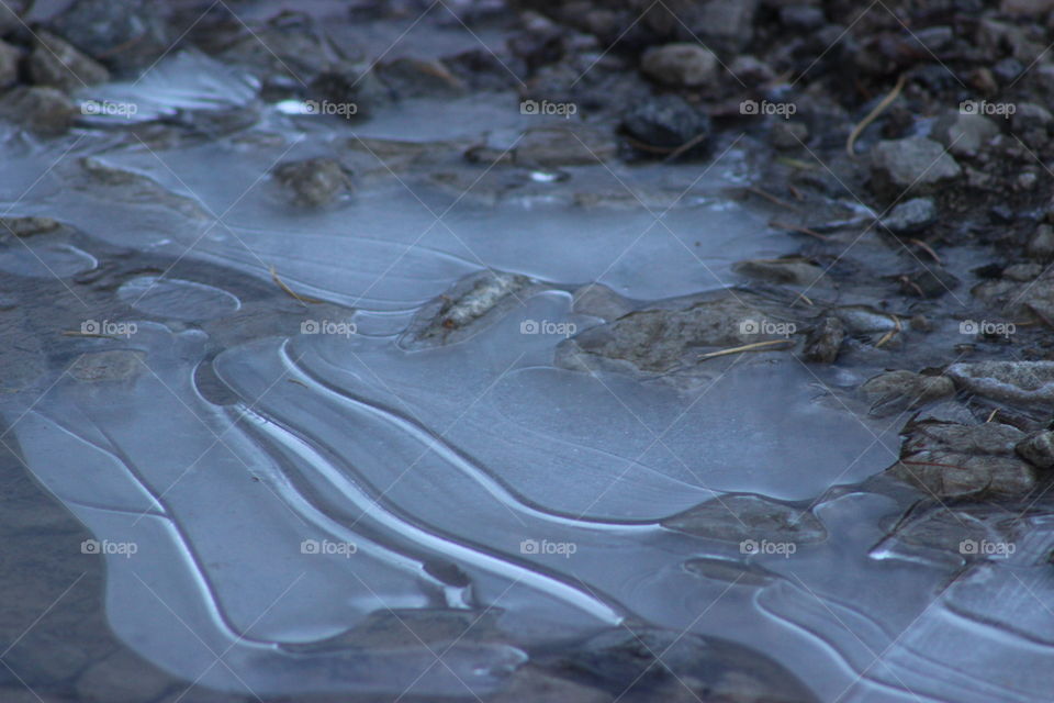 A frozen puddle 