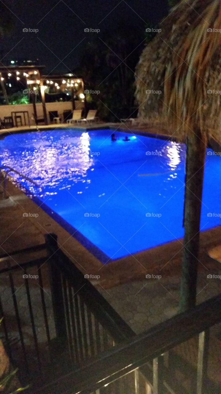 pool at hotel in tampa