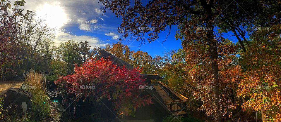 Fall for Frank Lloyd Wright