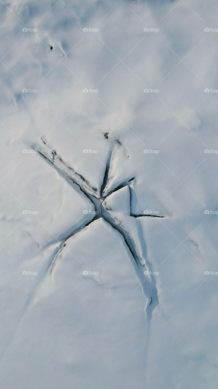 A crack in the ice. bird's eye view