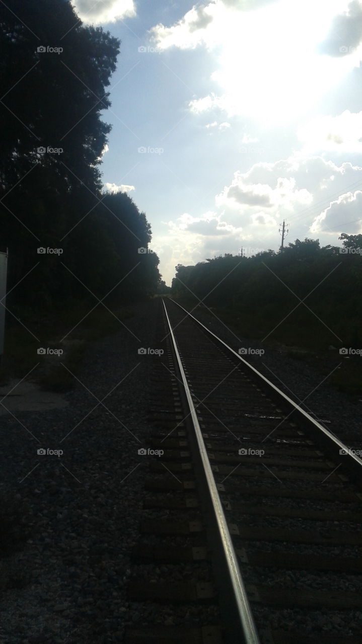 Railroad Tracks. Walked to the store, had to cross the tracks.  I thought it would be a nice picture,  and I was right!
