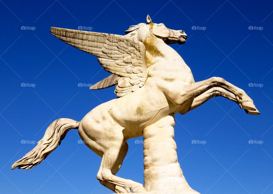 Pegasus