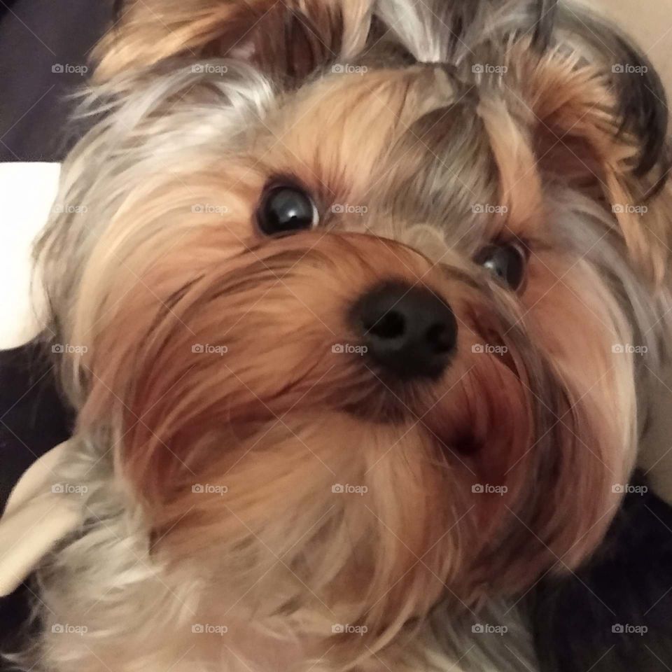 Мой Ювентус Триумфатор!!!