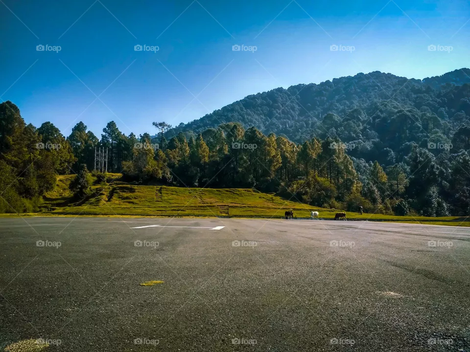 beautiful runway