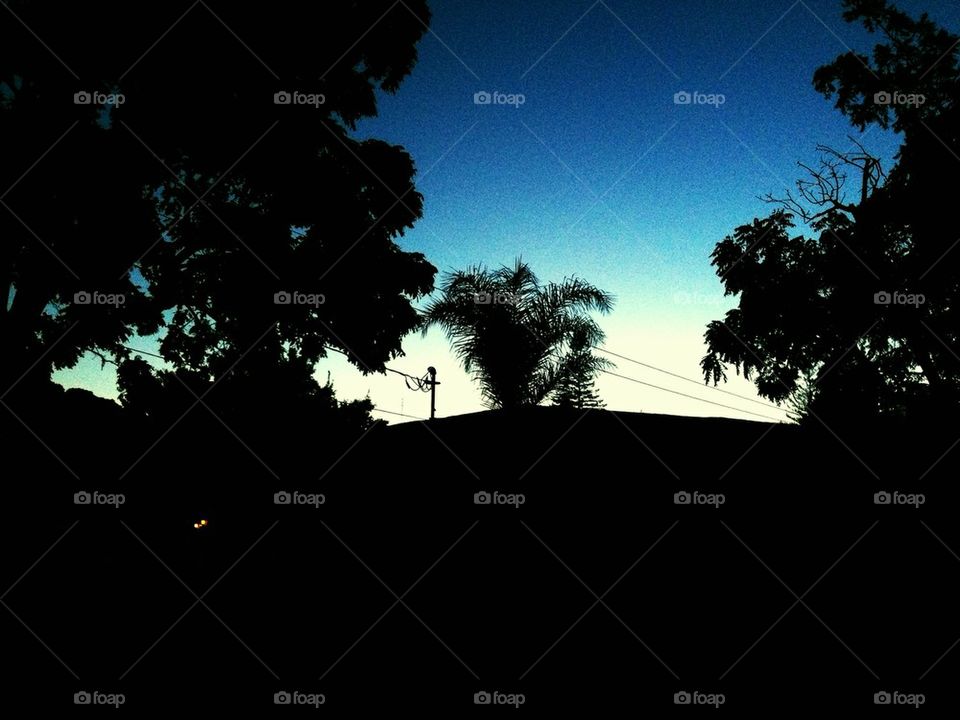 Twilight in martinez