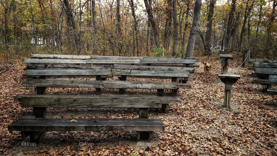 Ampitheatre seating at Knob Noster State Park