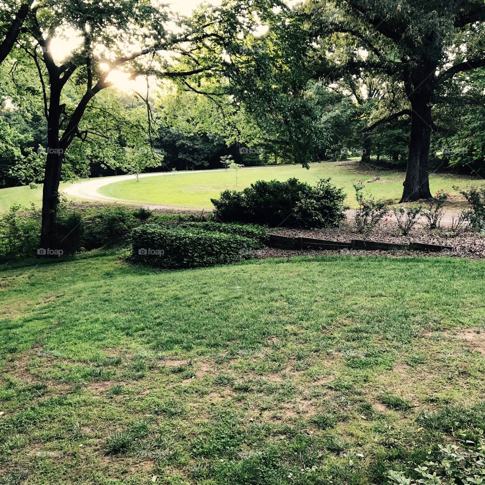 My grandmother's driveway.