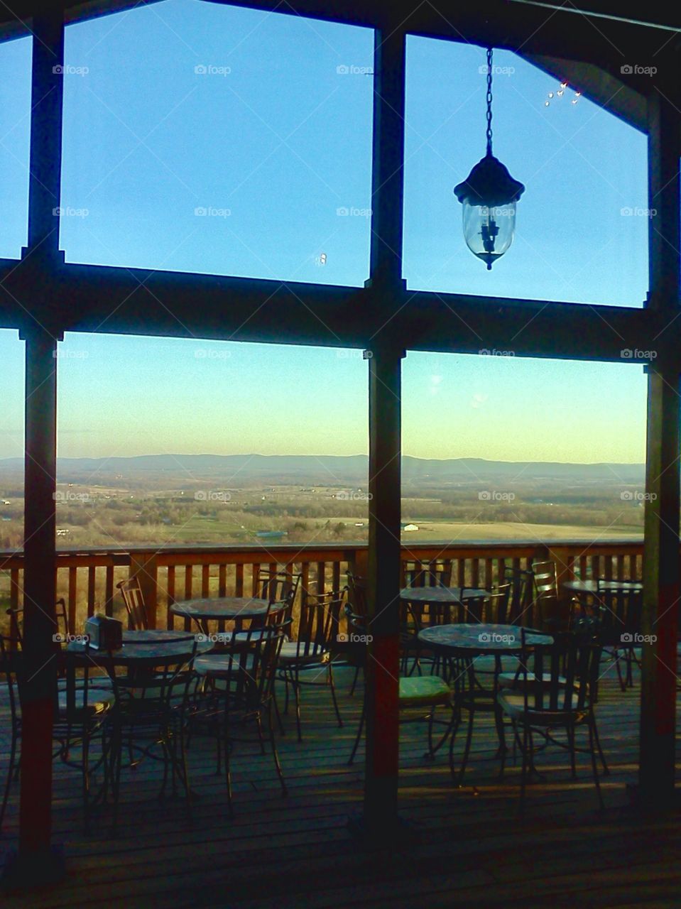 Framed view at vineyard 