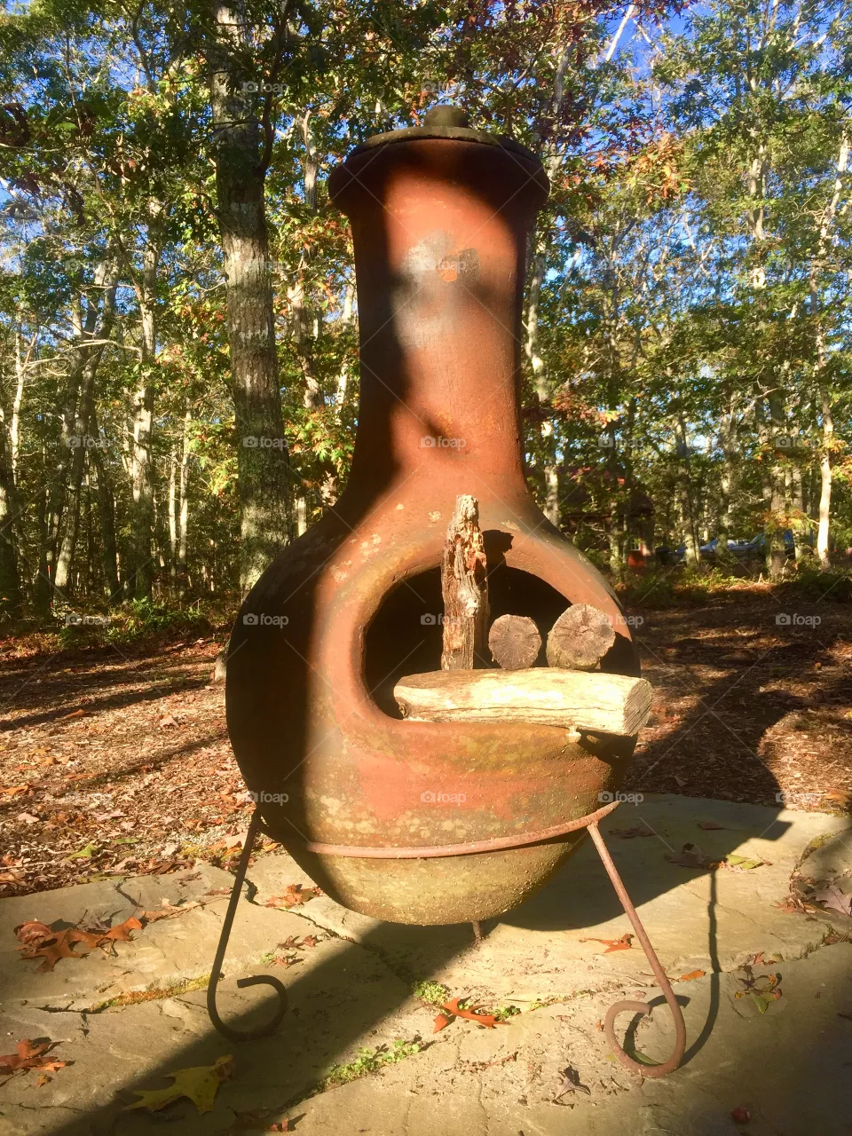 Fall