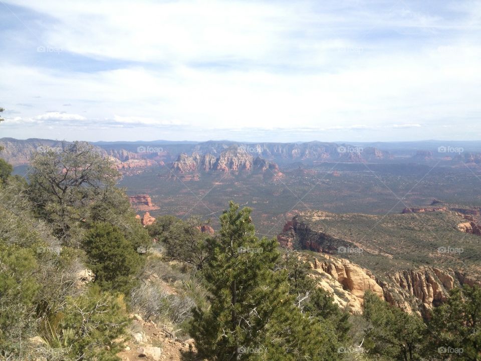 Foliage valley