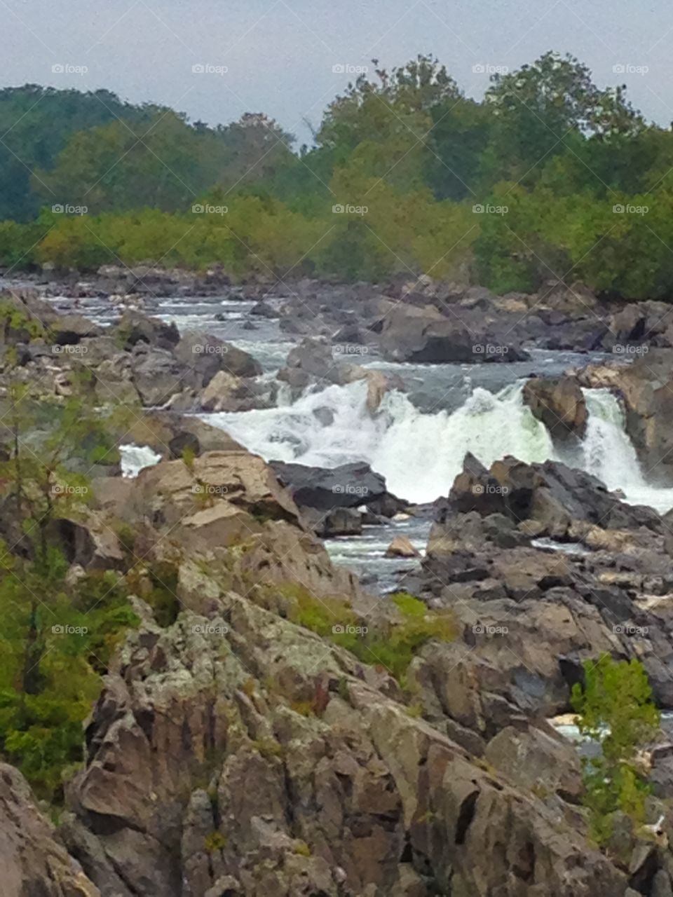 Great Falls, Virginia 4