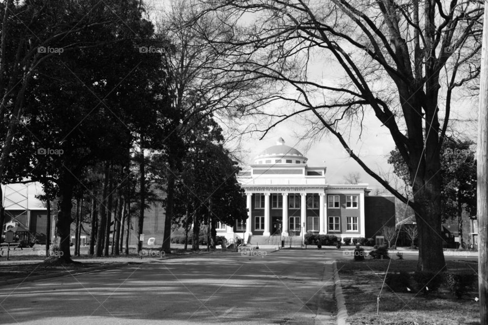 Darryl Wilson. No real story just shooying