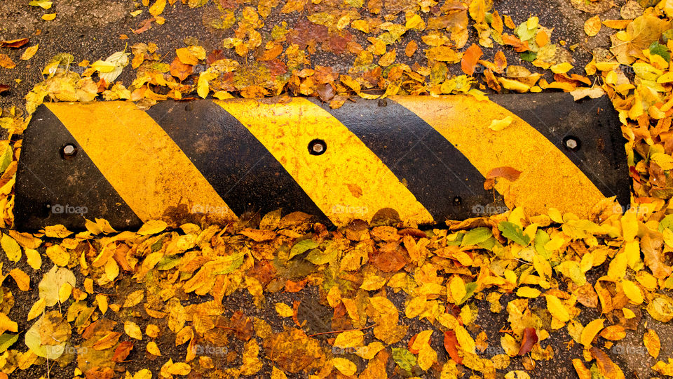 Speed breaker on road with autumn leafs