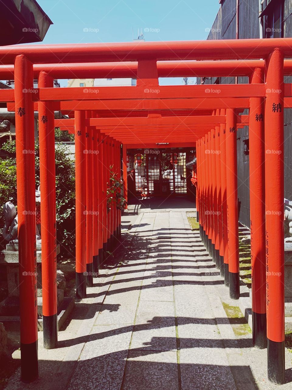 Red torii architecture in Japan