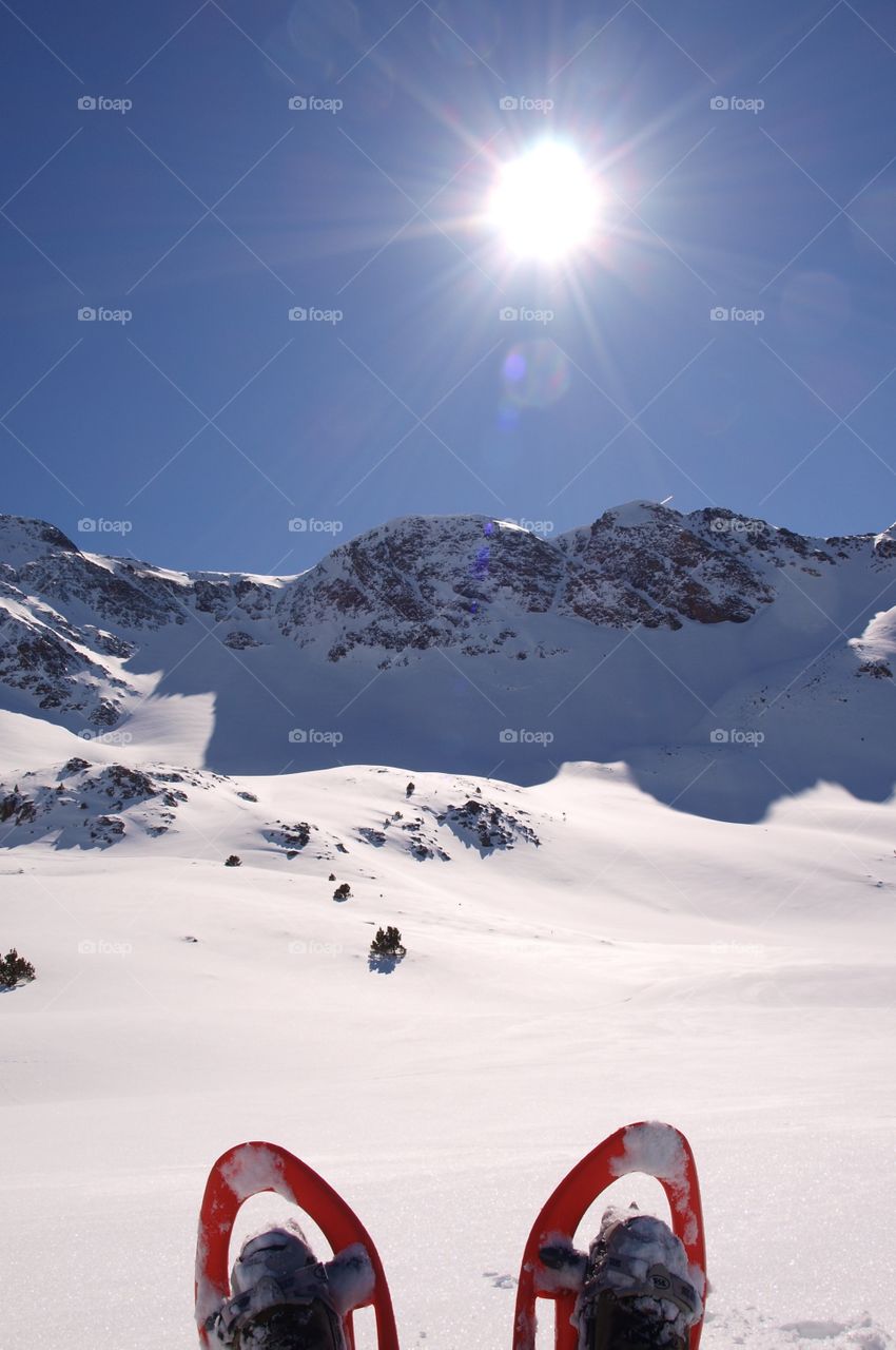 Snowshoes are standing upright in the snow