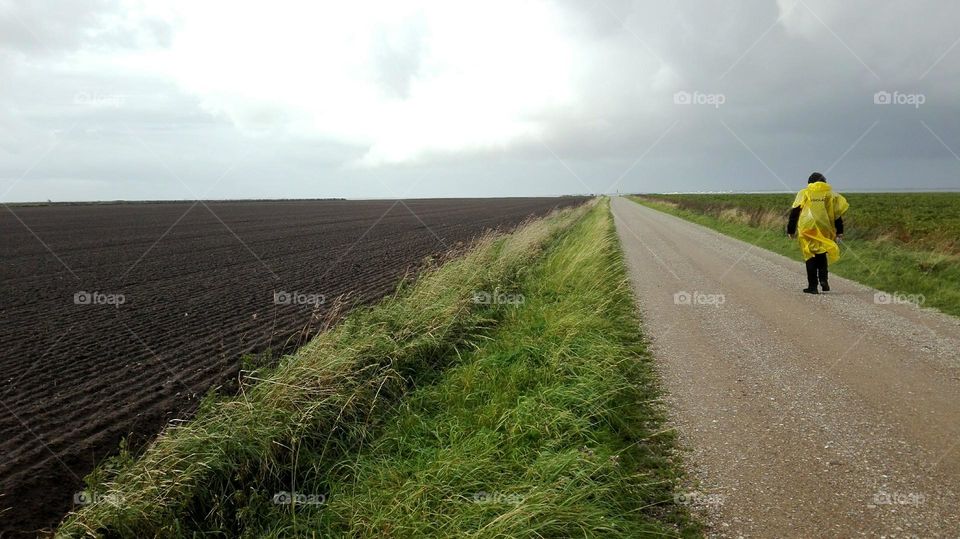 jylland
