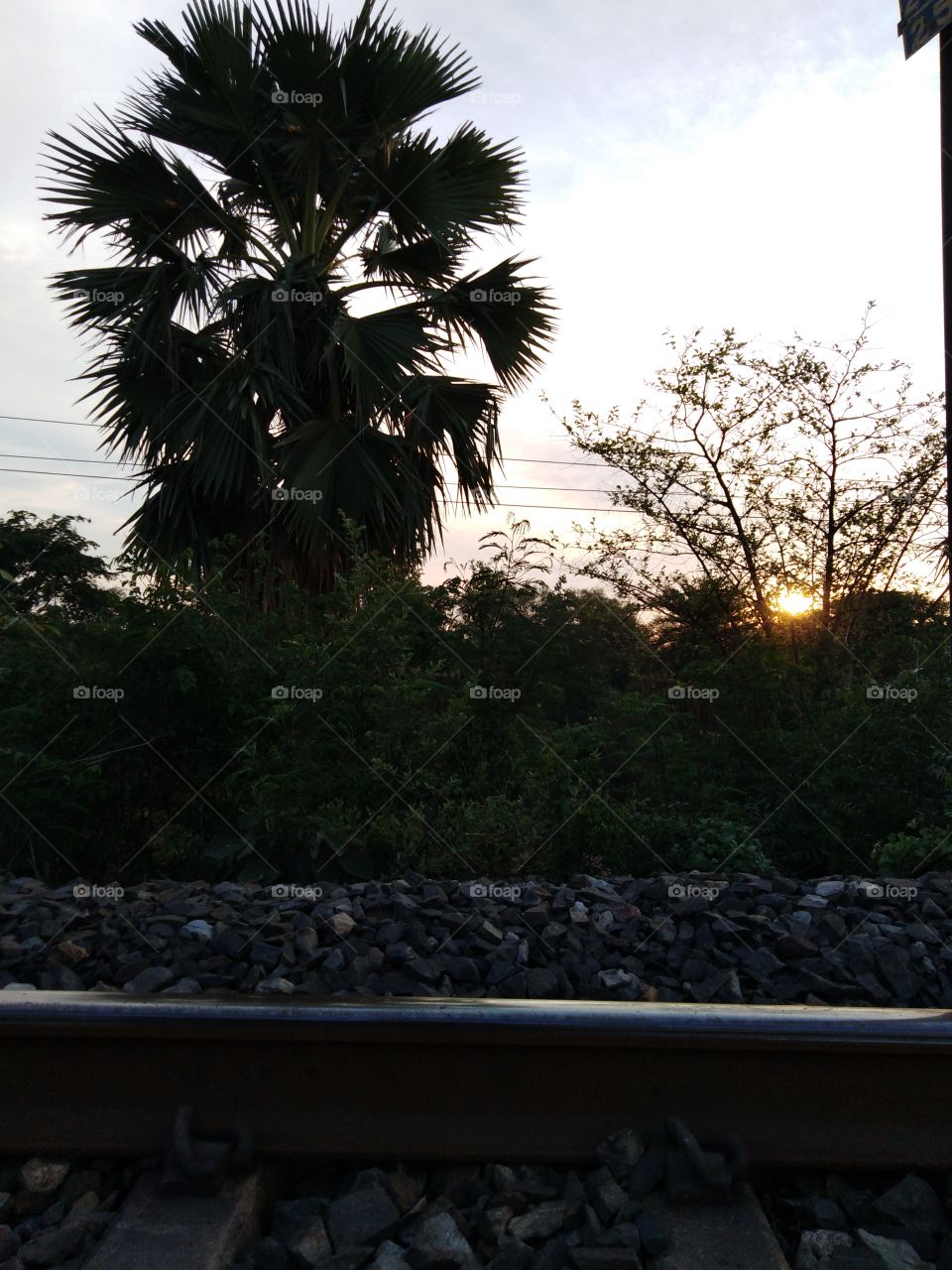 It's sunshine

Its beauty
It is  A good railway track