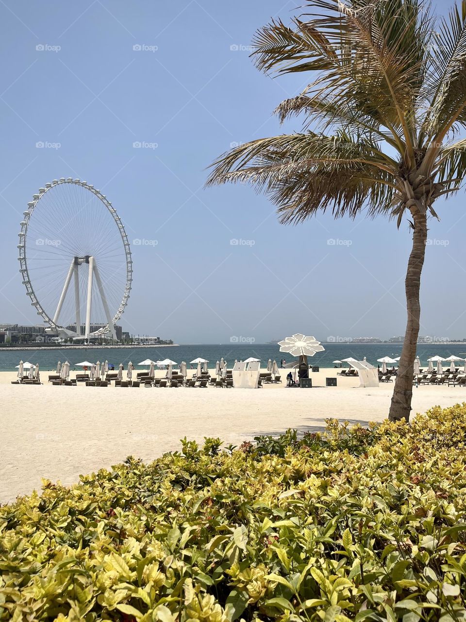 Dubai beach 