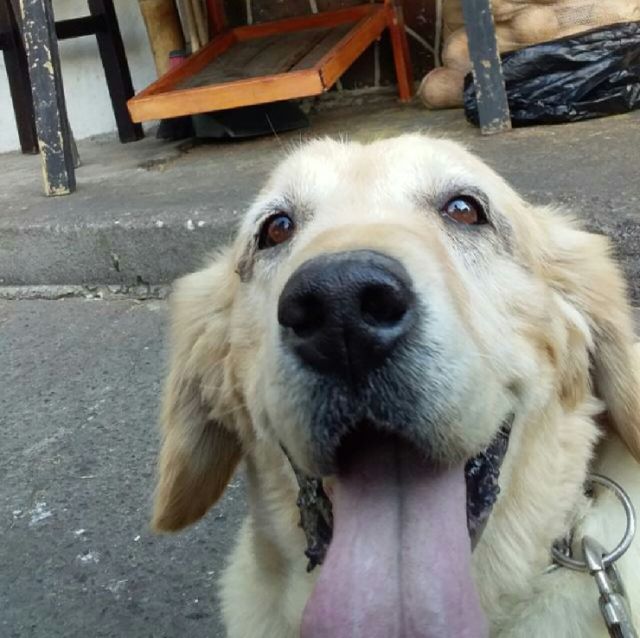 old friend