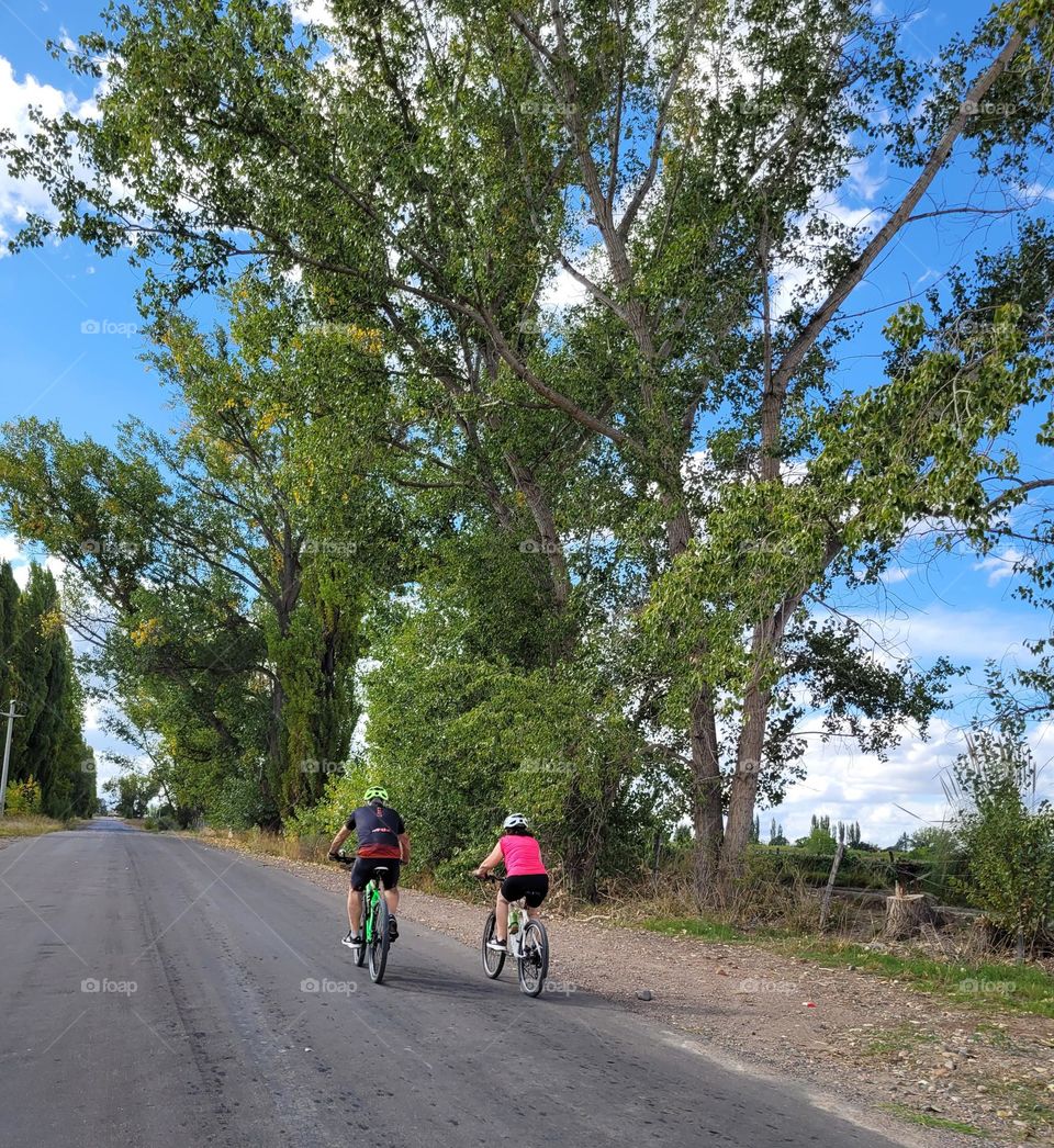 el camino de ciclistas