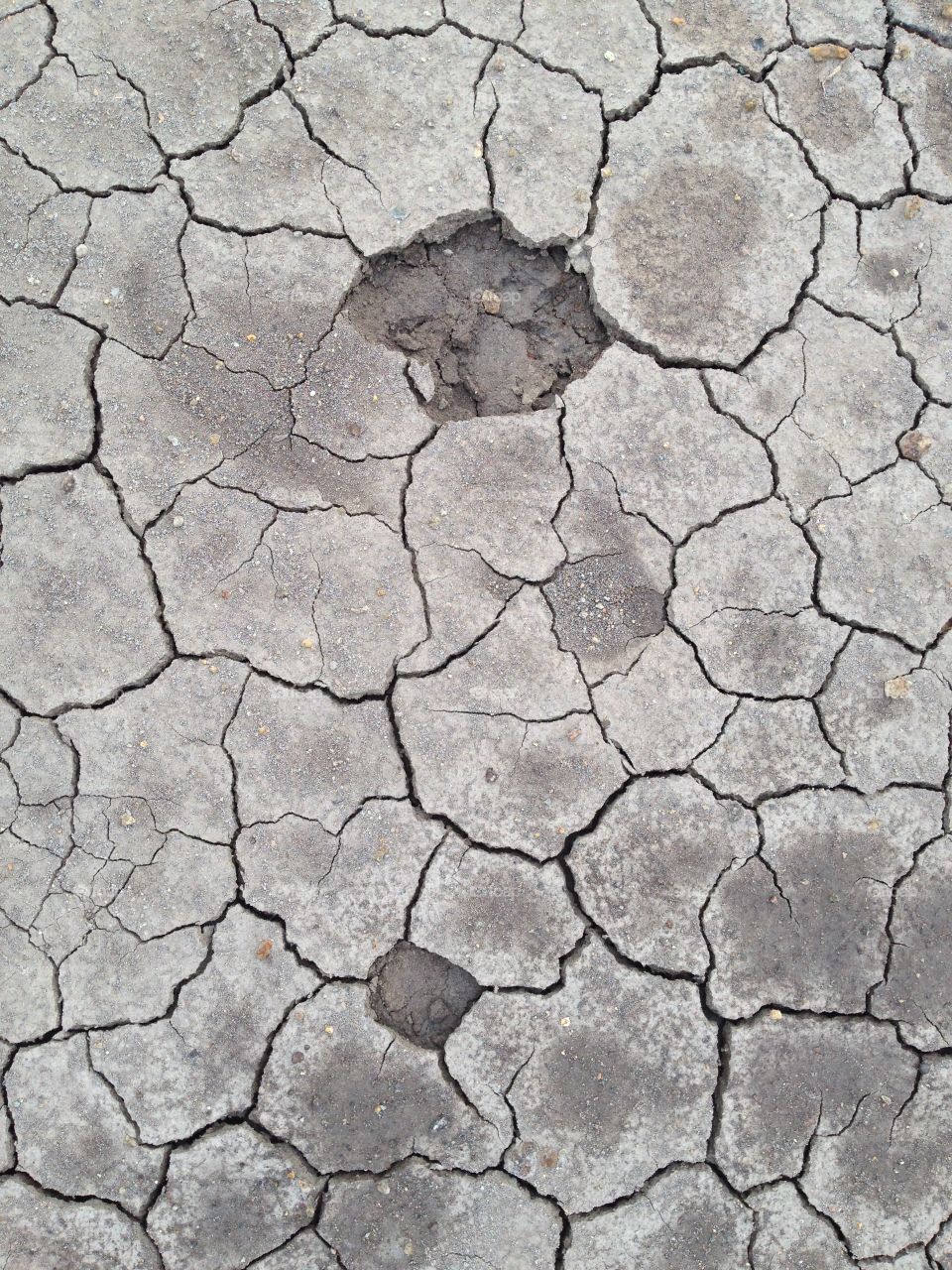 Ground crack.