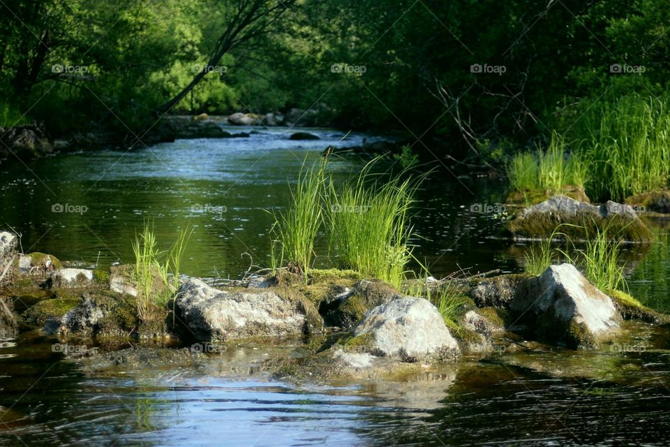 Beautiful view to river with grass and stones