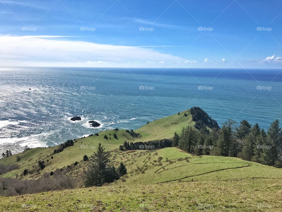 Cascade Head 