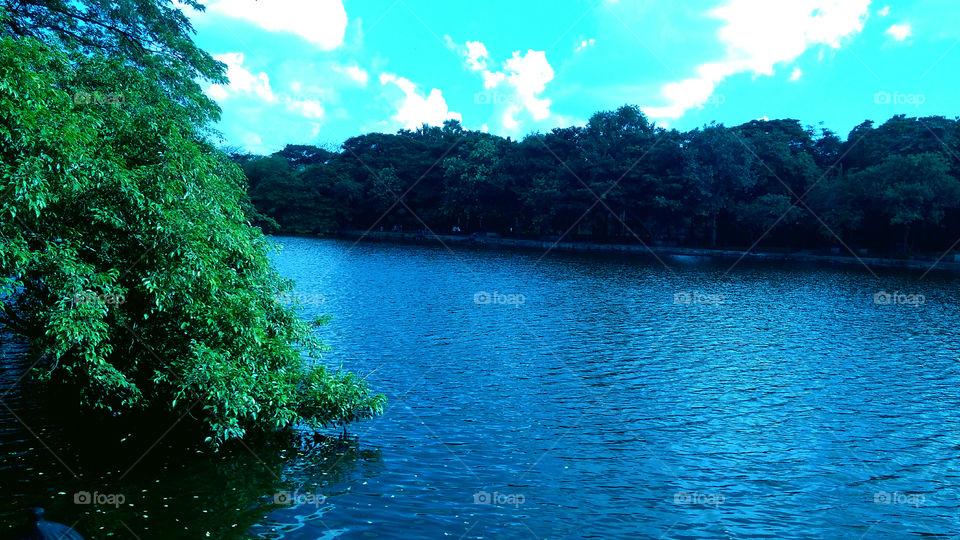 Captured the beautiful view of blue water Lake surrounded by trees.