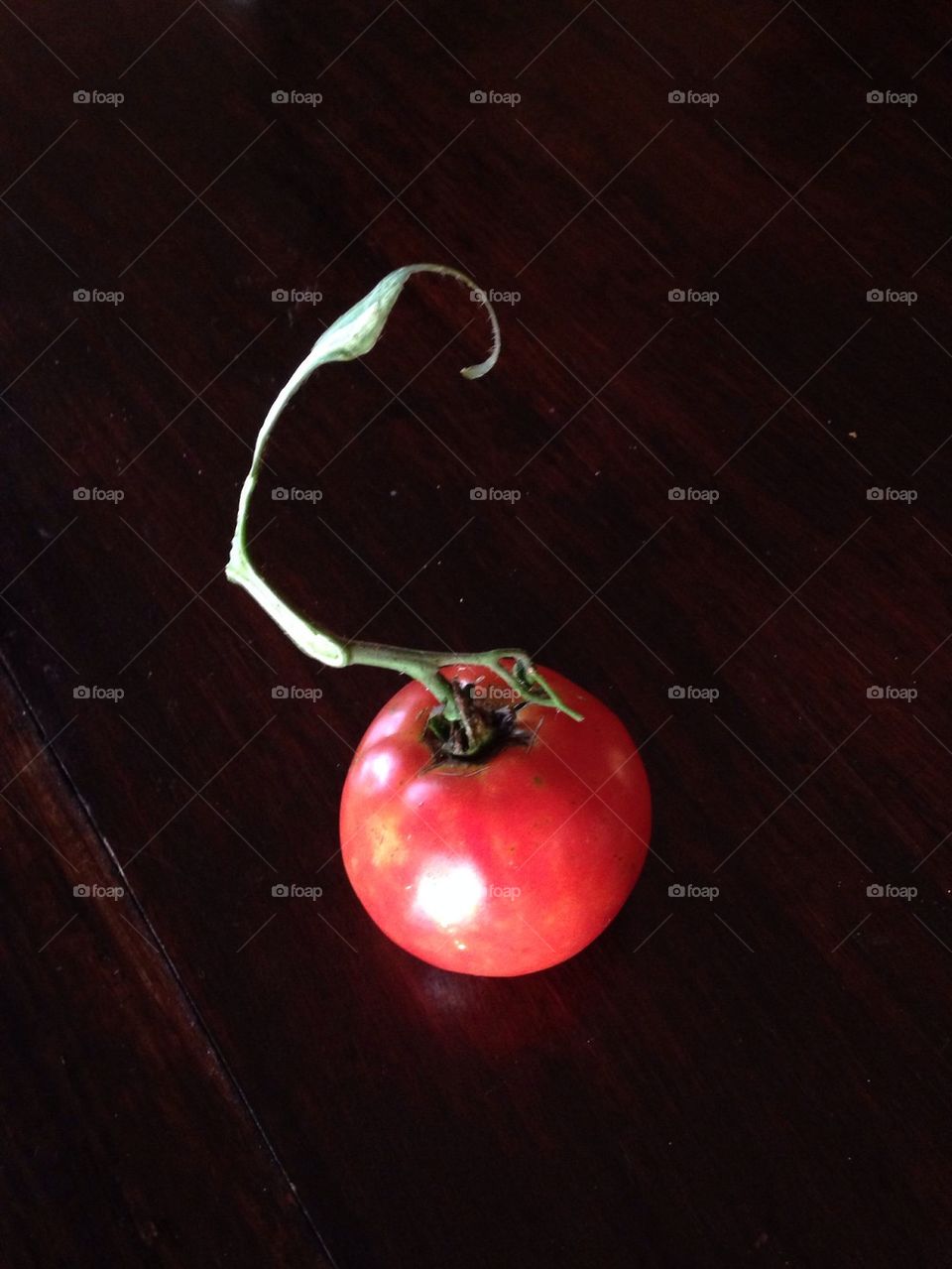Tomato Solo