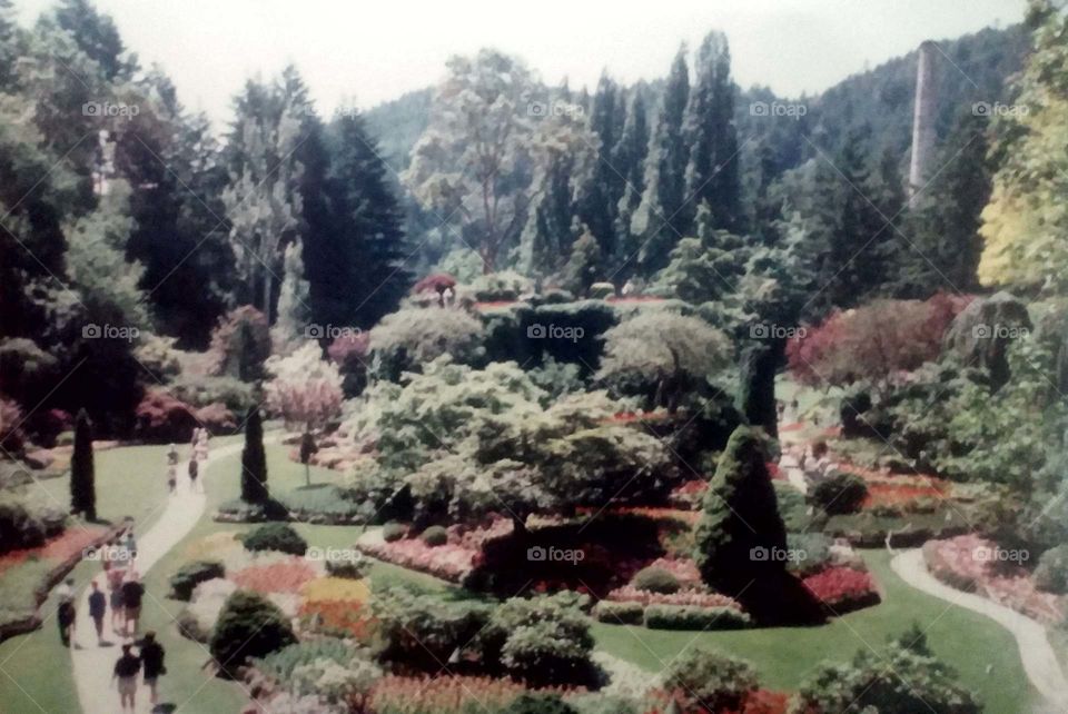 Bouchart Gardens. Bouchart Gardens