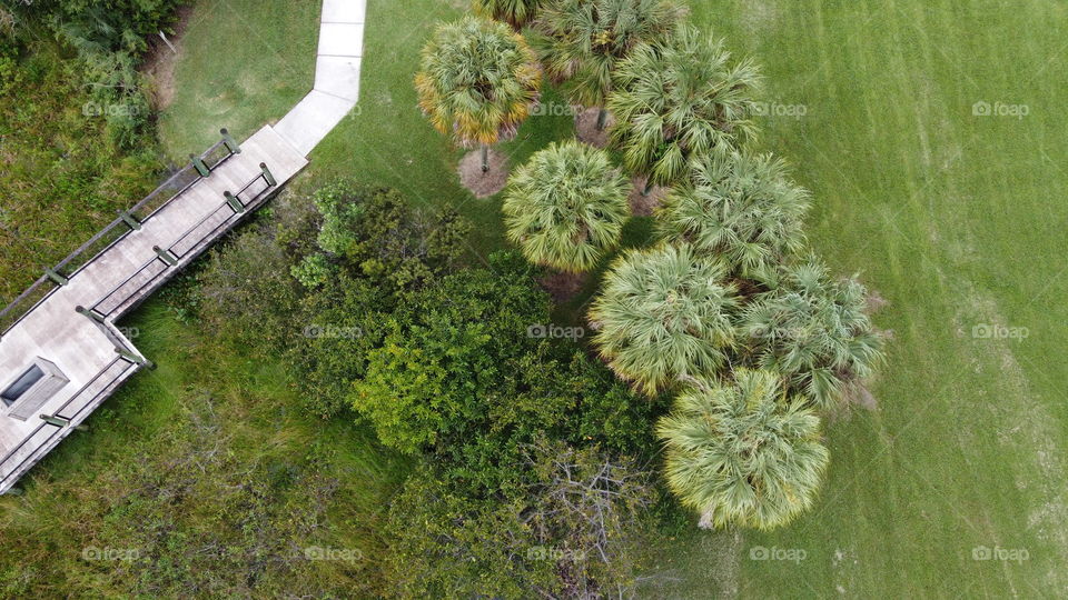 A drone shot showing trees and a path