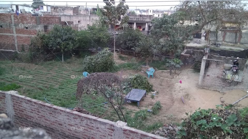 kitchen garden