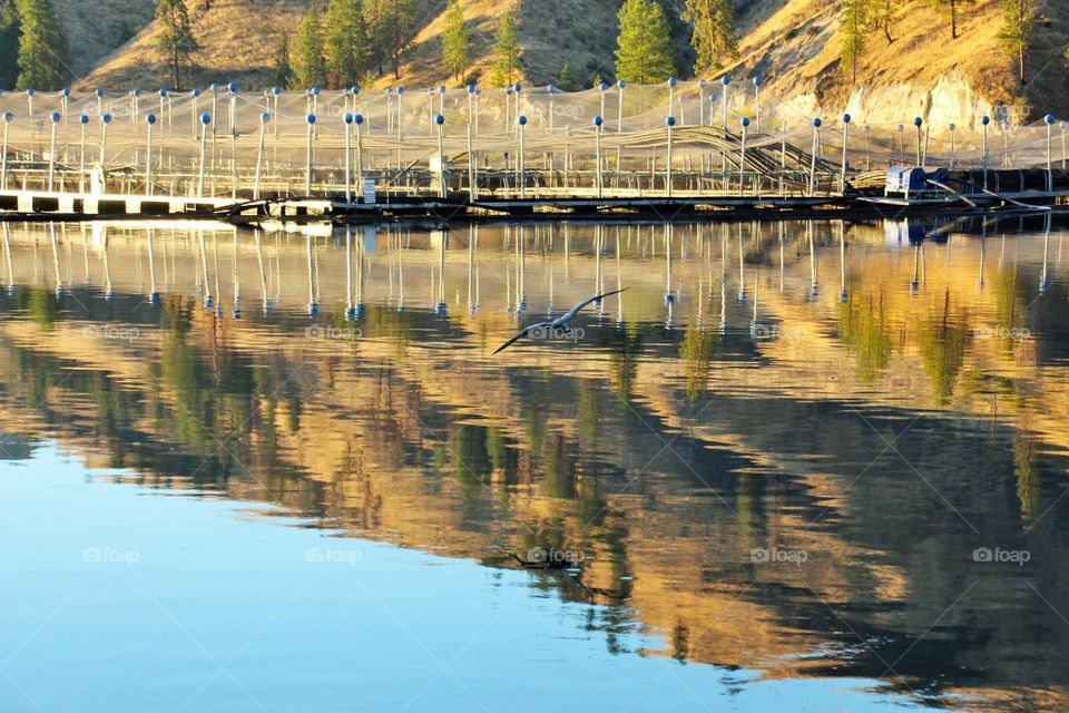 Columbia River at Rufus Woods.