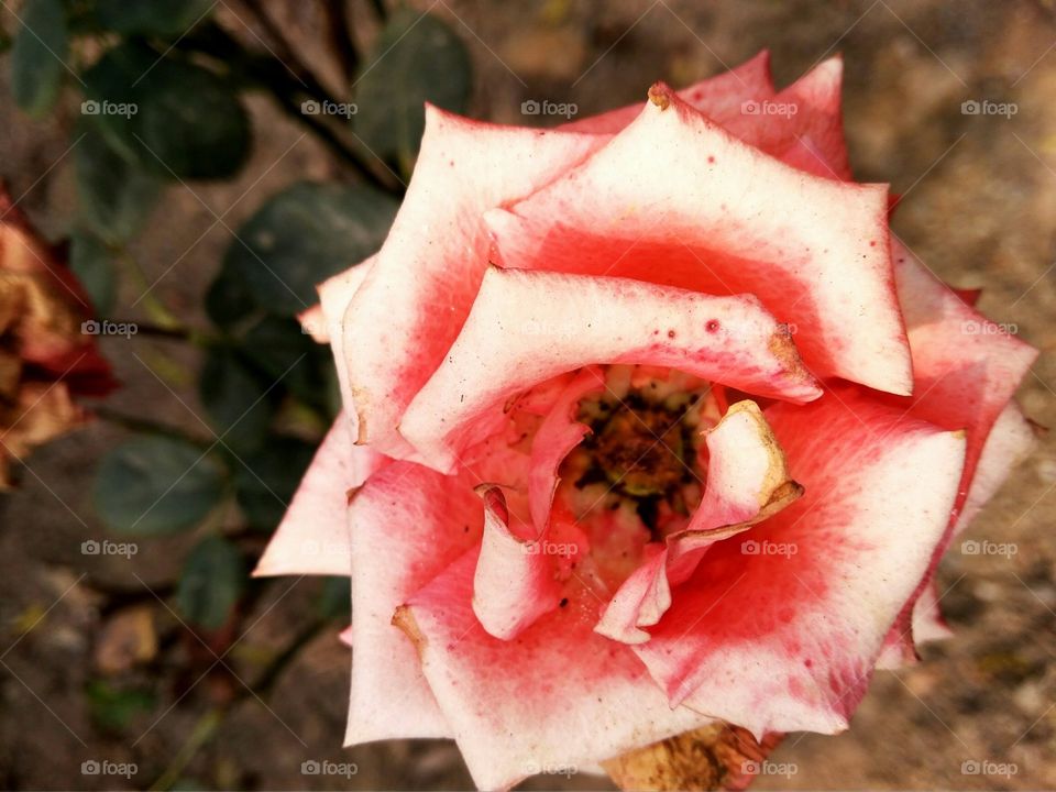 Nature says.. learn to hear