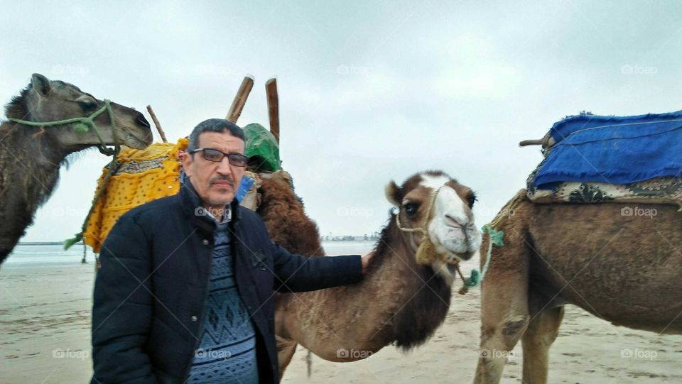 best moment with my camel.