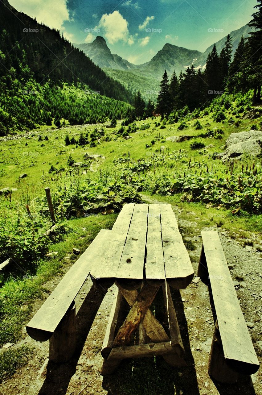 Bench with a view